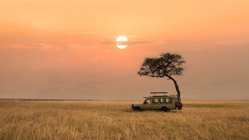 Safari vehicle parked under a tree in a savanna at sunset.