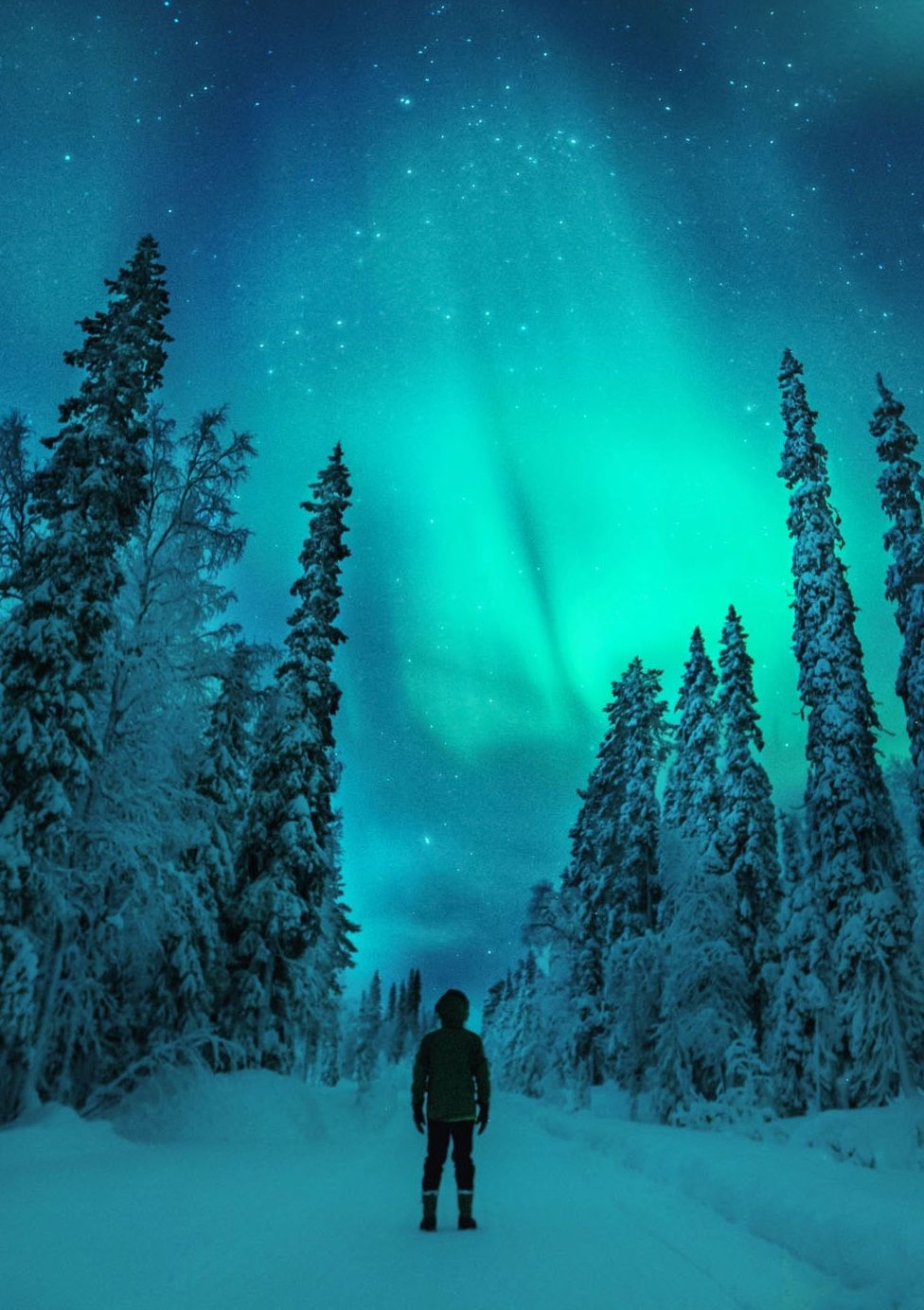 image secondaire du voyage Séjour multi-activités en Laponie finlandaise