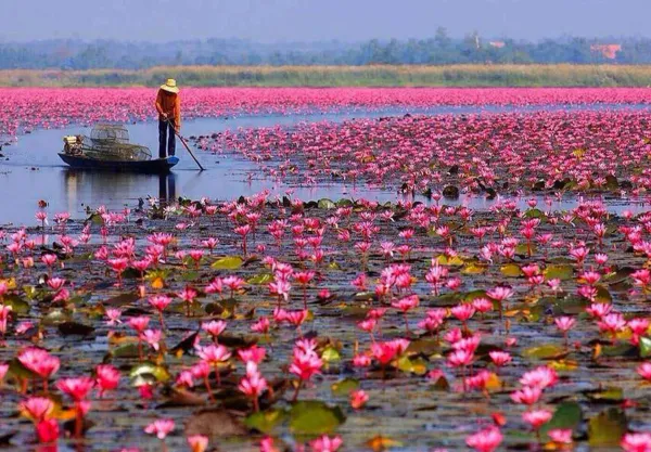 Thaïlande