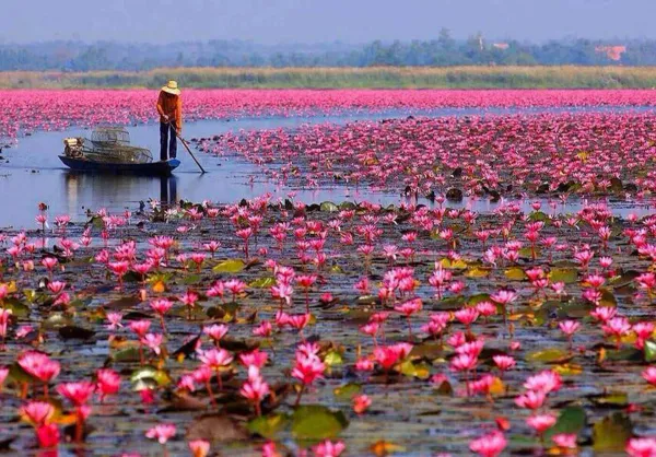 Thaïlande