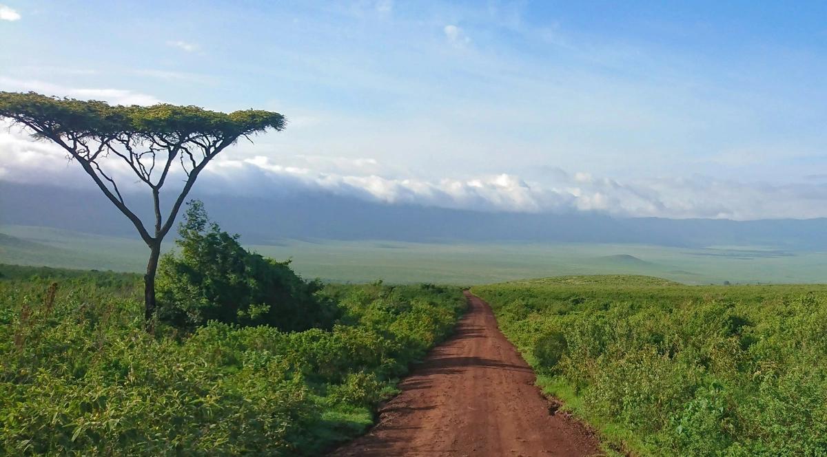image principale du voyage La Tanzanie entre immersion culturelle, safaris et évasion à Zanzibar
