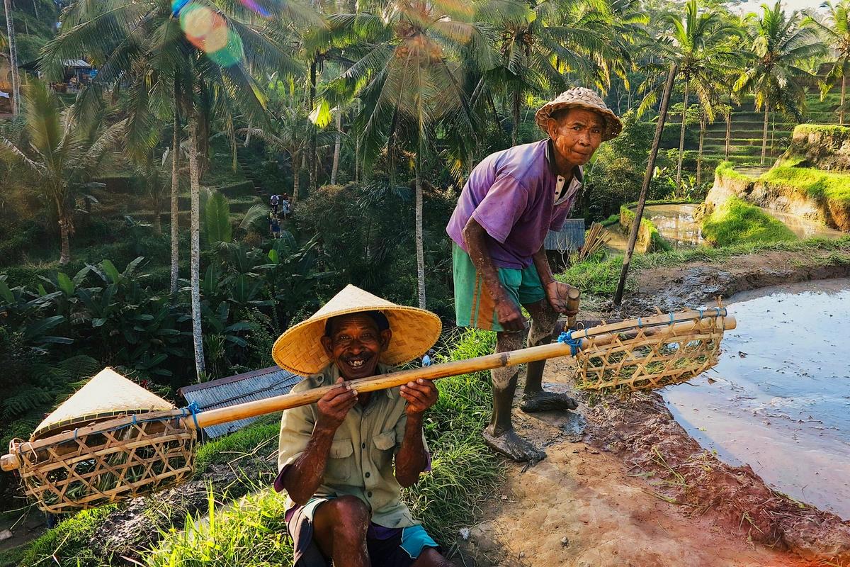 image de la liste de photos du voyage Immersion culturelle au coeur des traditions d’une famille balinaise