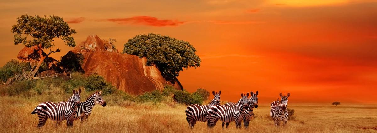 image principale du voyage En immersion dans les villages traditionnels du Kenya et safari dans le Masai Mara