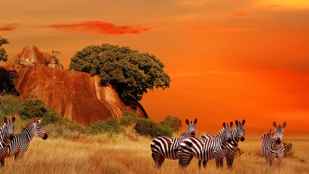 image principale du voyage En immersion dans les villages traditionnels du Kenya et safari dans le Masai Mara