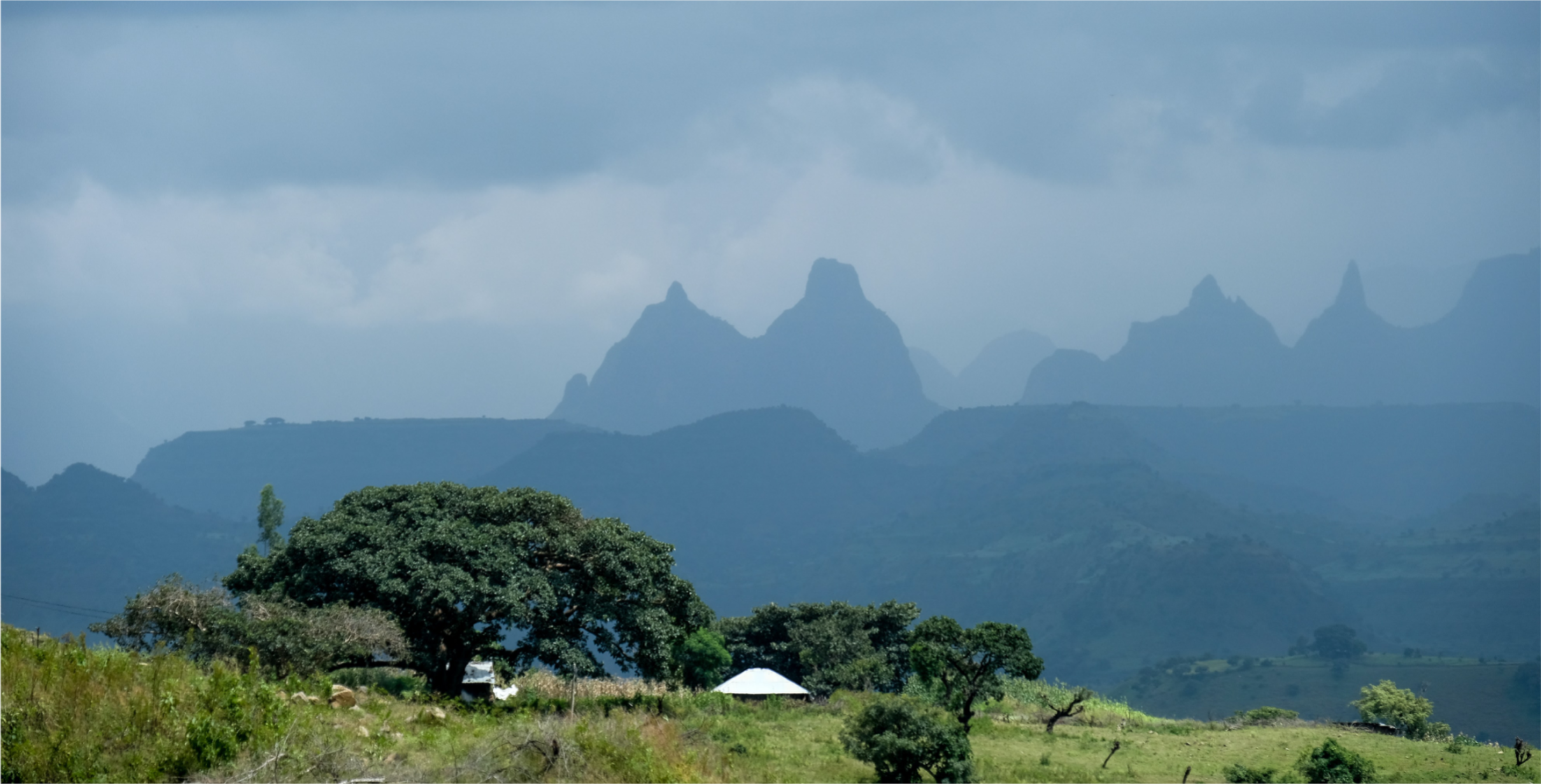 Image principale du blog L'Ethiopie, berceau de l'humanité