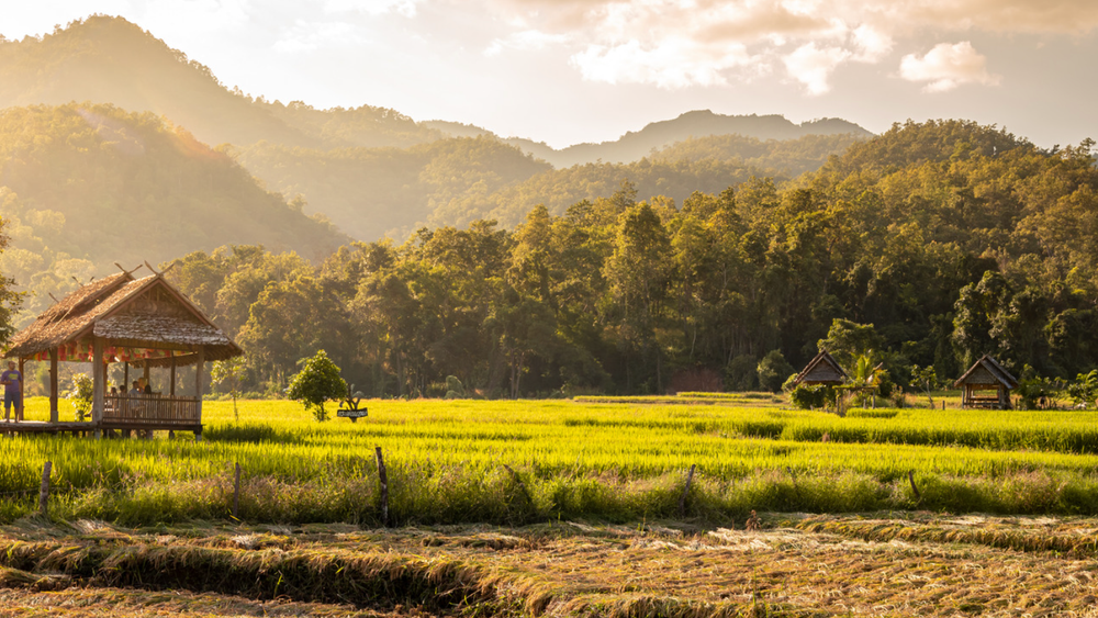 image principale du voyage Stage boxe thaï en immersion dans le nord de la Thaïlande