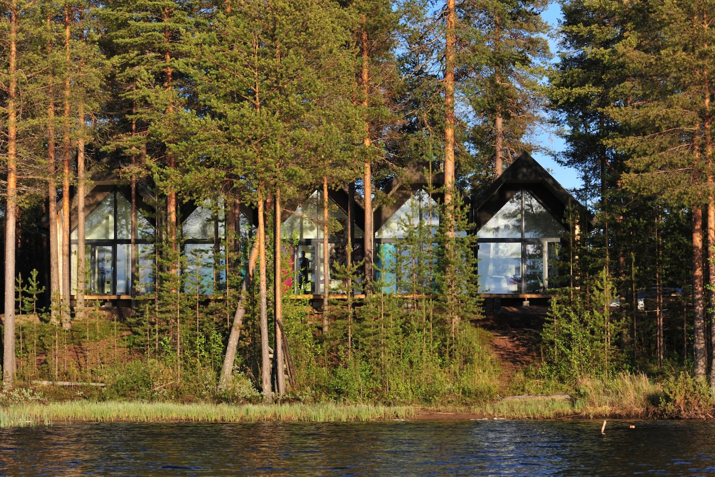 Image principale du blog Finlande sauvage : forêt boréale, lacs et reconnexion avec la nature
