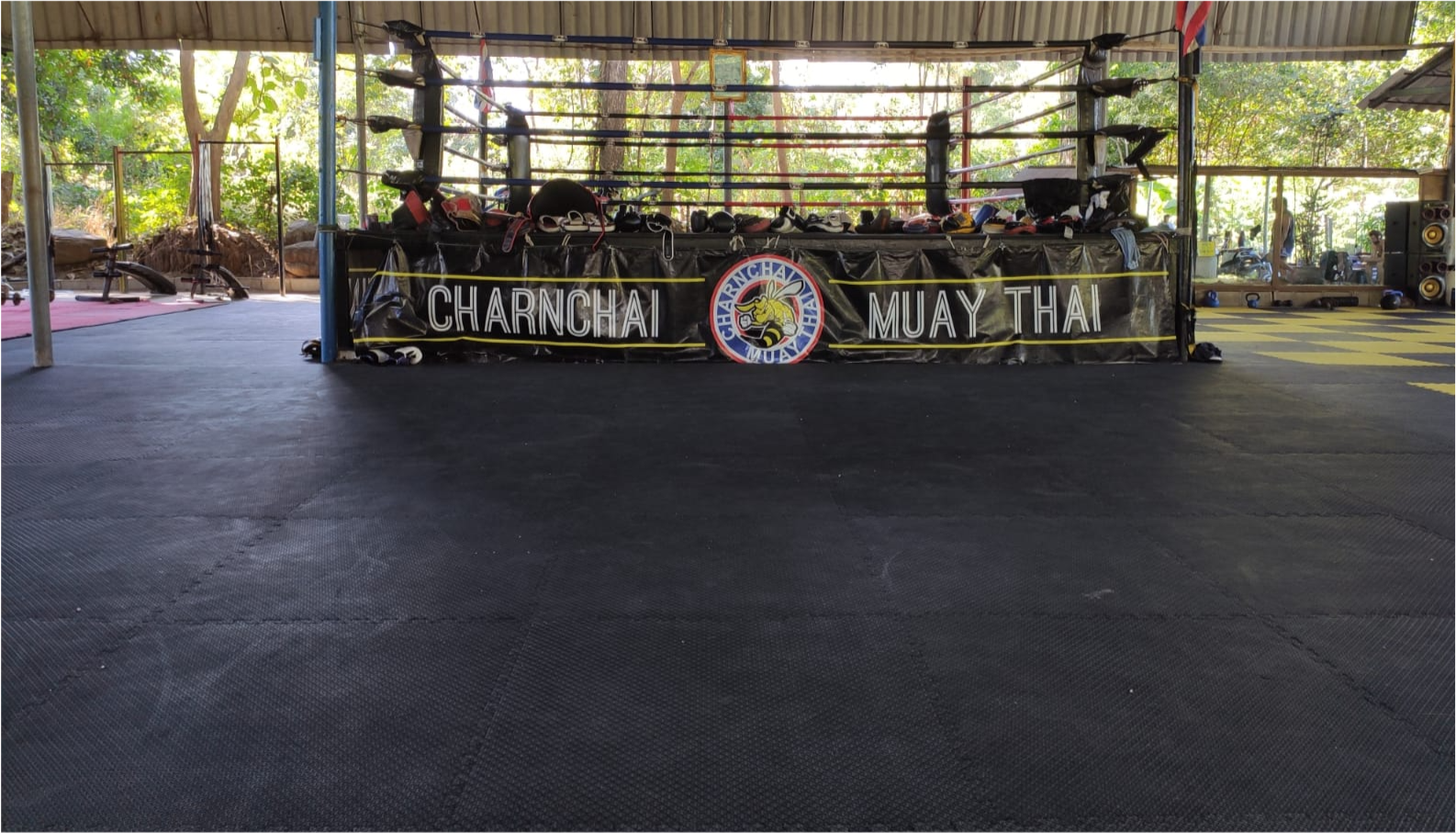 Image principale du blog Récits de Voyage - Loïc Dauphin : Boxez dans les rizières en Thaïlande