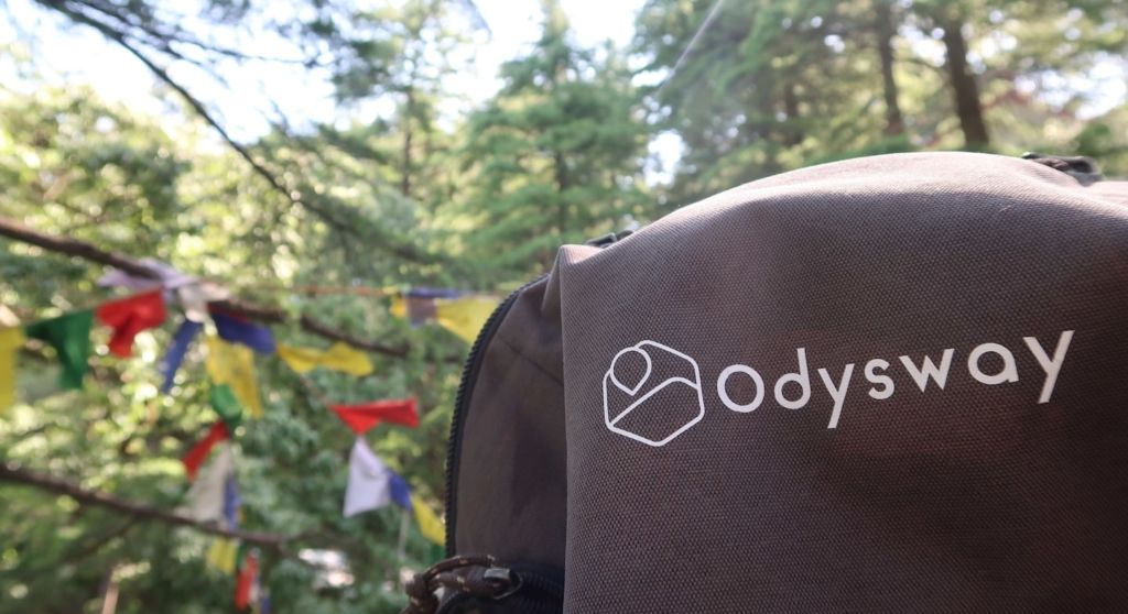 Image principale du blog Pourquoi Choisir une Agence de Voyage pour Vos Prochaines Vacances ?