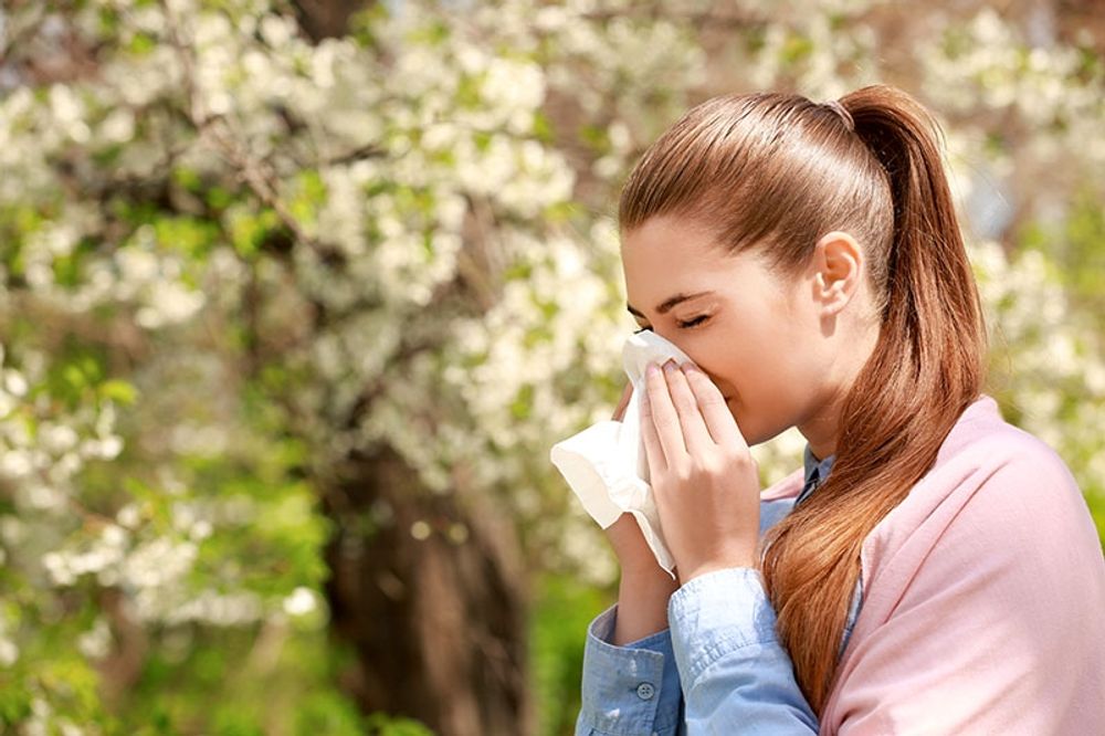 De ovanligt h&ouml;ga temperaturerna b&aring;de tidigarel&auml;gger och befaras f&ouml;rv&auml;rra allergis&auml;songen.