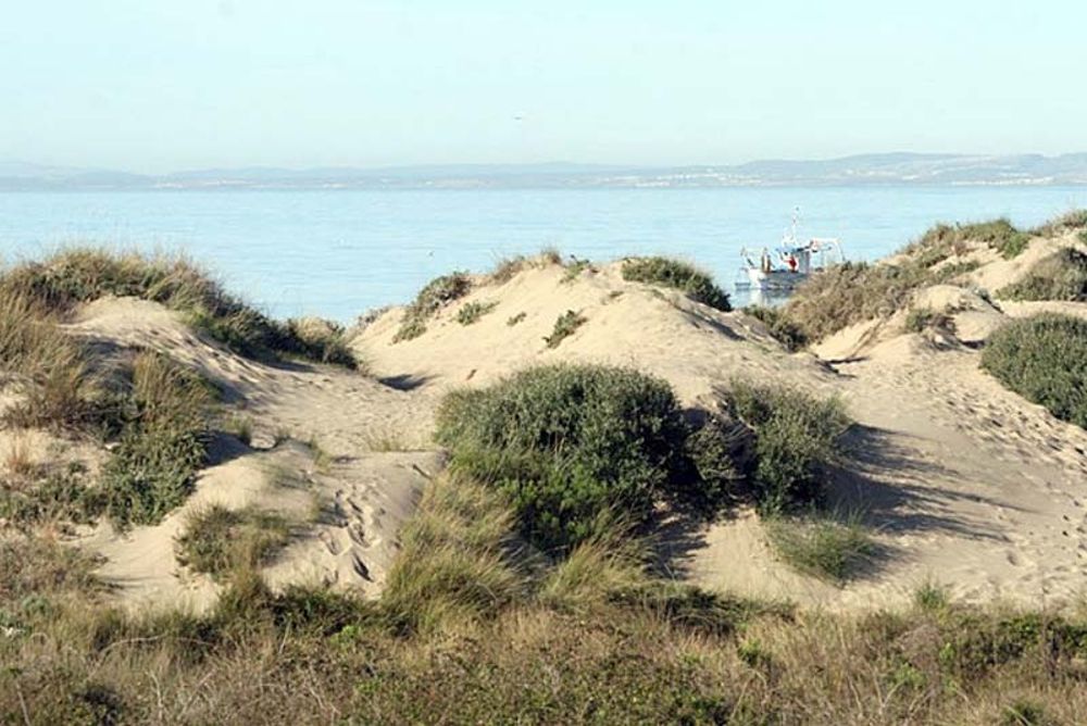 Sammanlagt &aring;tta dynomr&aring;den &ouml;ster om Marbella har beskyddats. Foto: Asociaci&oacute;n Pro Dunas