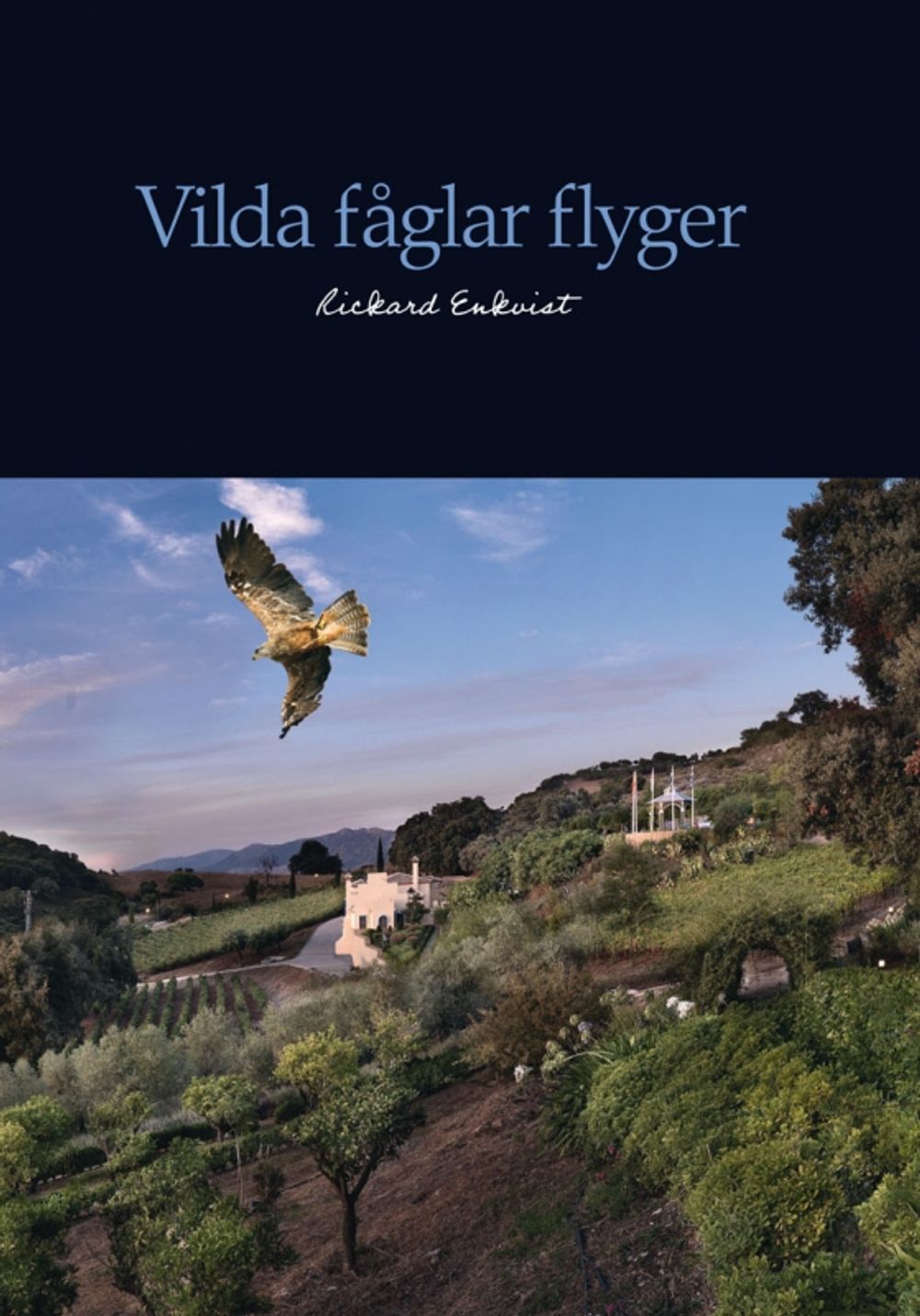 "Vilda f&aring;glar flyger" omsp&auml;nner &ouml;ver 200 &aring;r och handlar b&aring;de om Rickard Enkvists liv och utvecklingen i Sverige och Europa fram till idag.