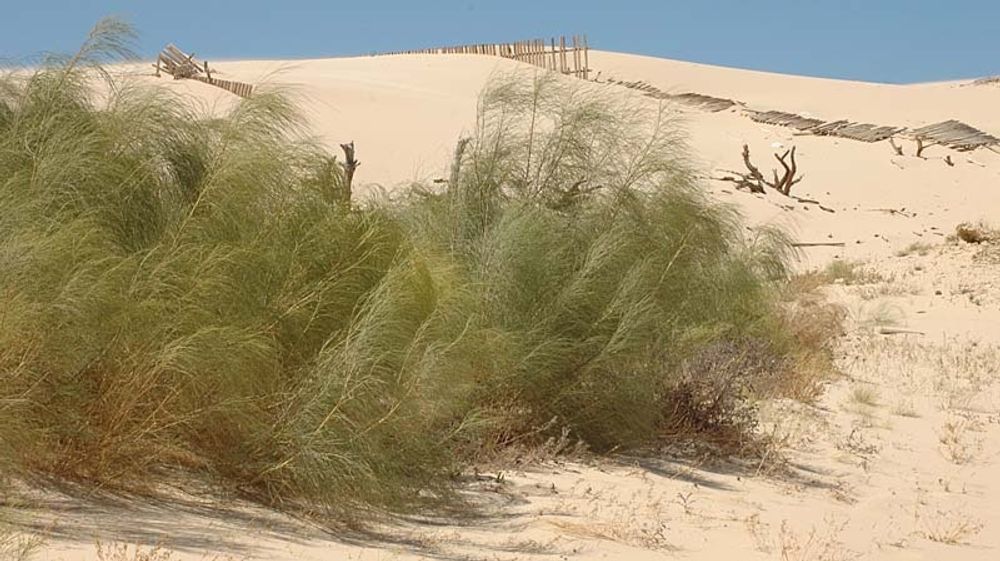 Plundringen av sand vid Valdevaqueros avsl&ouml;jades n&auml;r den senaste konflikten kring Gibraltar blossade upp.