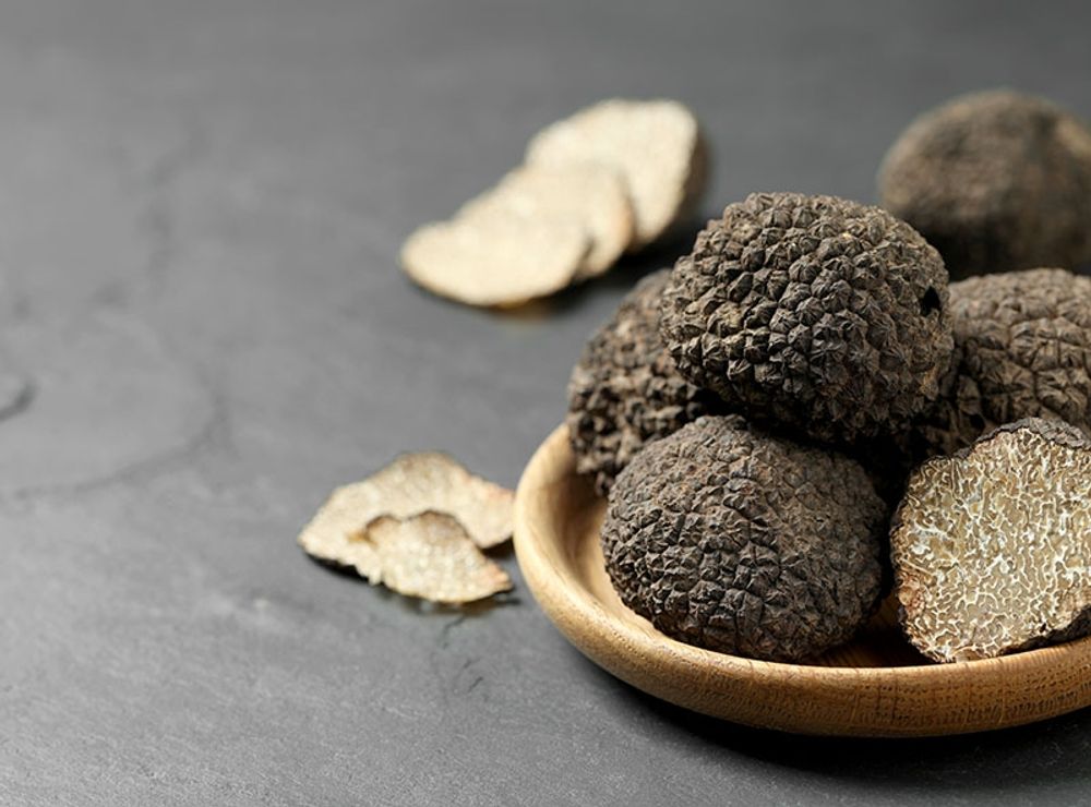 Trots att Spanien &auml;r v&auml;rldsledande n&auml;r det g&auml;ller produktion av svart tryffel &auml;r det f&ouml;rst p&aring; senare &aring;r som det b&ouml;rjat anv&auml;ndas allt med i det lokala k&ouml;ket.