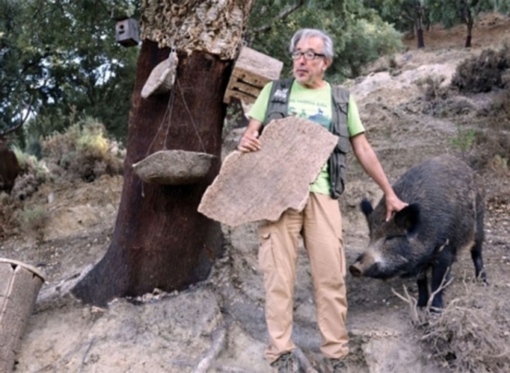 Antonio Calvo ser ensam efter djuren i Eco Reserva Oj&eacute;n sedan februari i &aring;r, d&aring; det beordrades st&auml;nga av Junta de Andaluc&iacute;a.