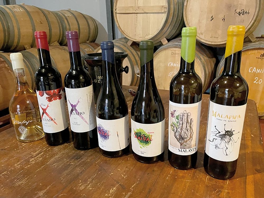 Bodega Malvajio producerar ett f&ouml;rv&aring;nansv&auml;rt brett sortiment av viner, alltifr&aring;n en trevlig ros&eacute; till komplexa ekfatslagrade chardonnayer och syrah/cabernet-cuve&eacute;r. Foto: Bj&ouml;rn Andersson