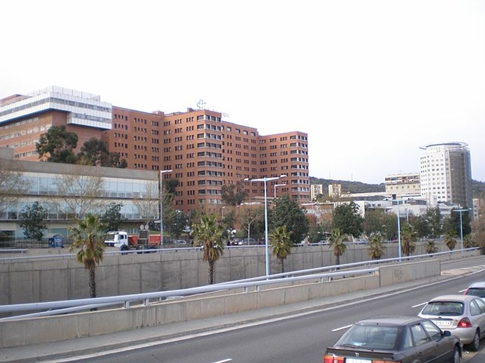 St&ouml;lderna ska ha p&aring;g&aring;tt under ett &aring;rs tid vid sjukhuset Vall d&acute;Hebron i Barcelona.