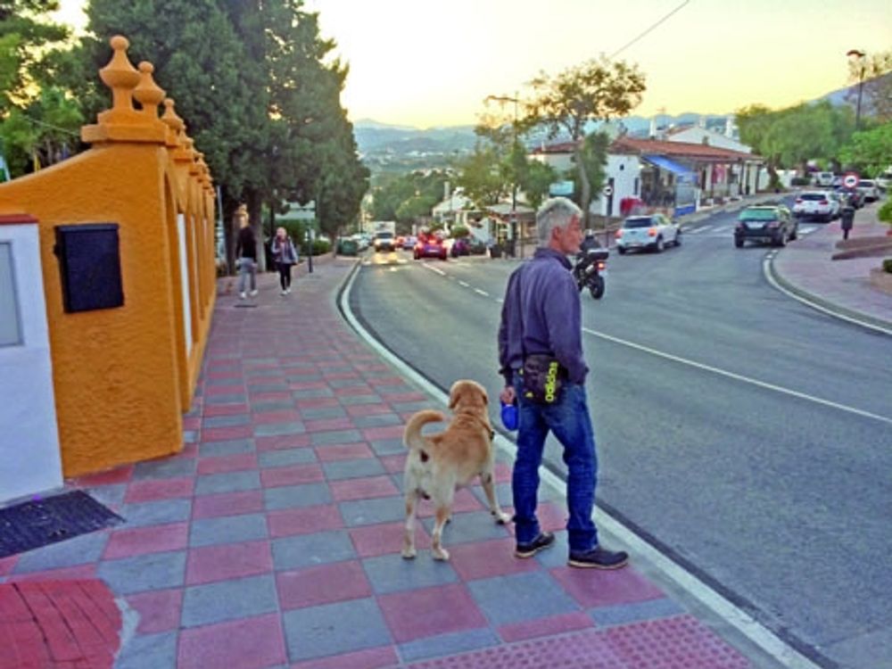 Drygt 30 hundar ska ha f&ouml;rgiftats i La Campana, i Nueva Andaluc&iacute;a, sedan b&ouml;rjan av oktober. Det &auml;r i dagsl&auml;get en ovanlig syn att se &auml;gare med sina djur i byn.