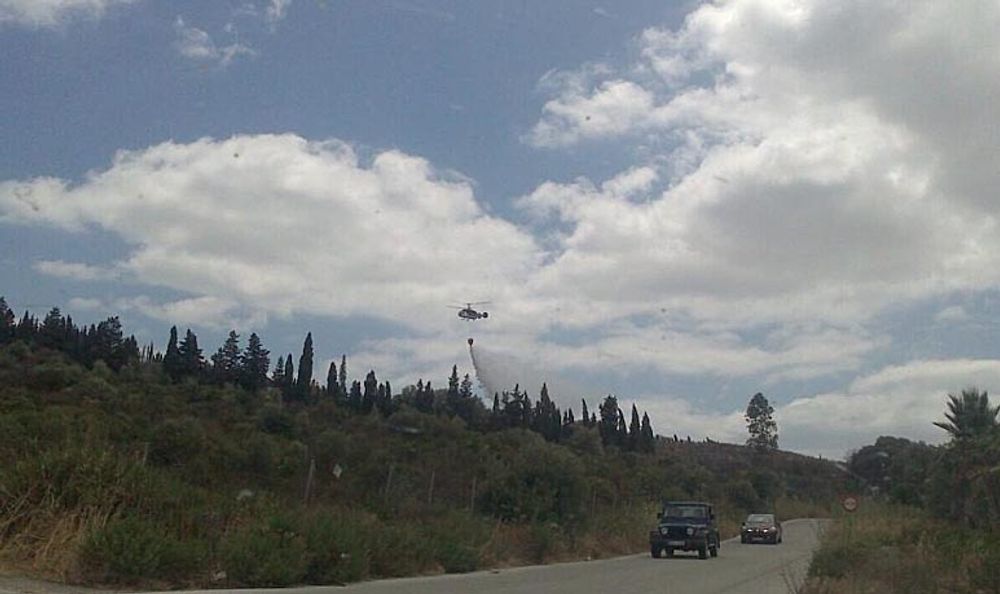 Branden i Manilva br&ouml;t ut i omr&aring;det Pajarito-Cortijo Lobato. Foto: Twitter@manilvaws
