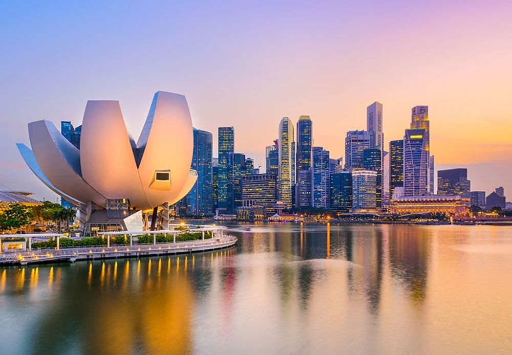 Asiatiska skatteparadis som Singapore uppges locka allt fler skatteskygga f&ouml;rm&ouml;gna.