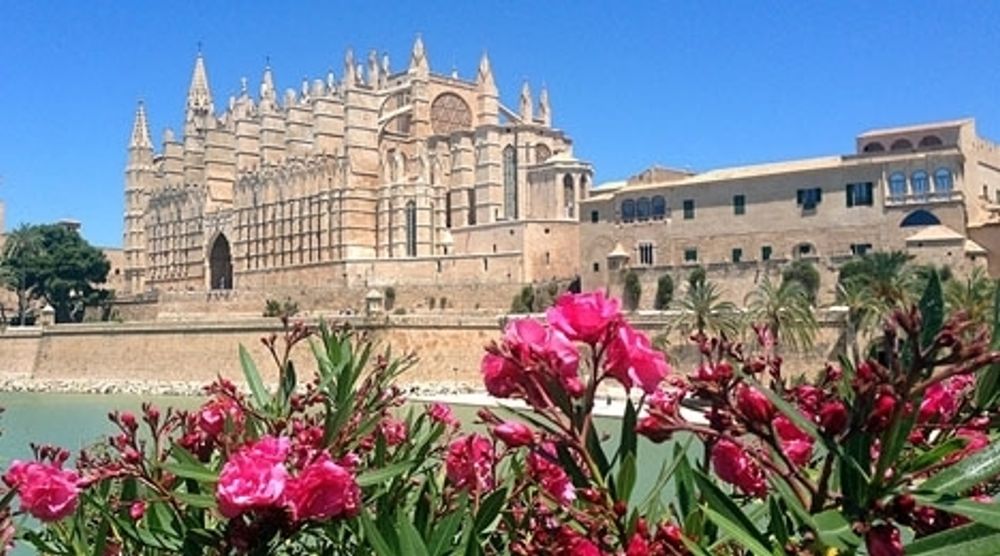 De tyska direktiven utg&ouml;r den definitiva d&ouml;dsst&ouml;ten f&ouml;r sommars&auml;songen p&aring; Mallorca.