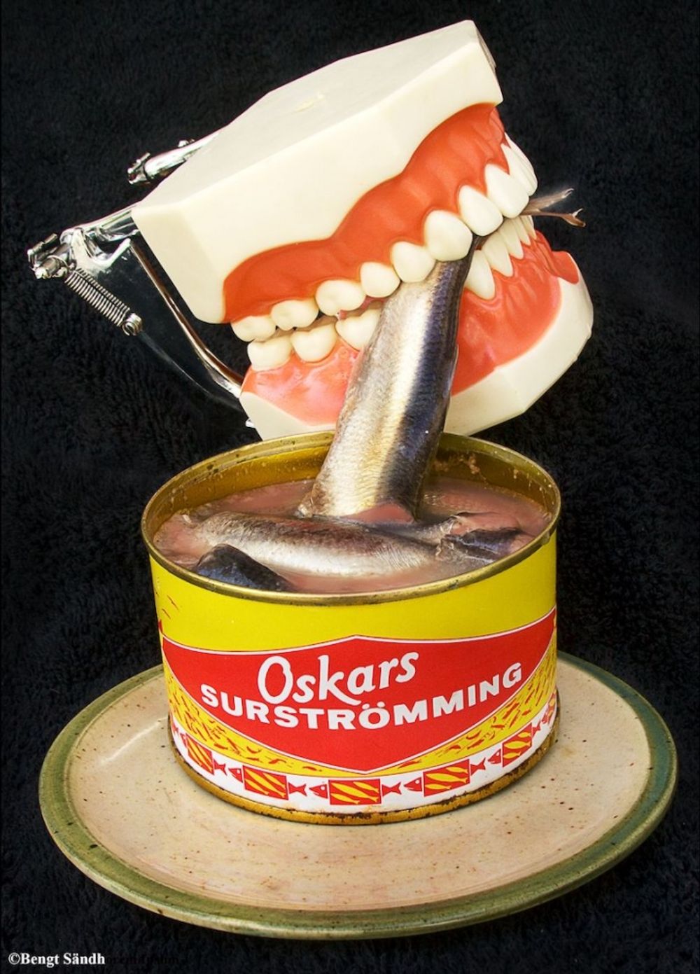 <I>Hur jag får en flickvän som suttit i Hitlers knä och hur jag blir bonddräng i Ångermanland och träffar en blivande statsminister</I>