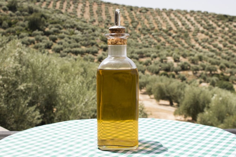 Andalusien &auml;r den region i Spanien med st&ouml;rst tillverkning av olivolja.