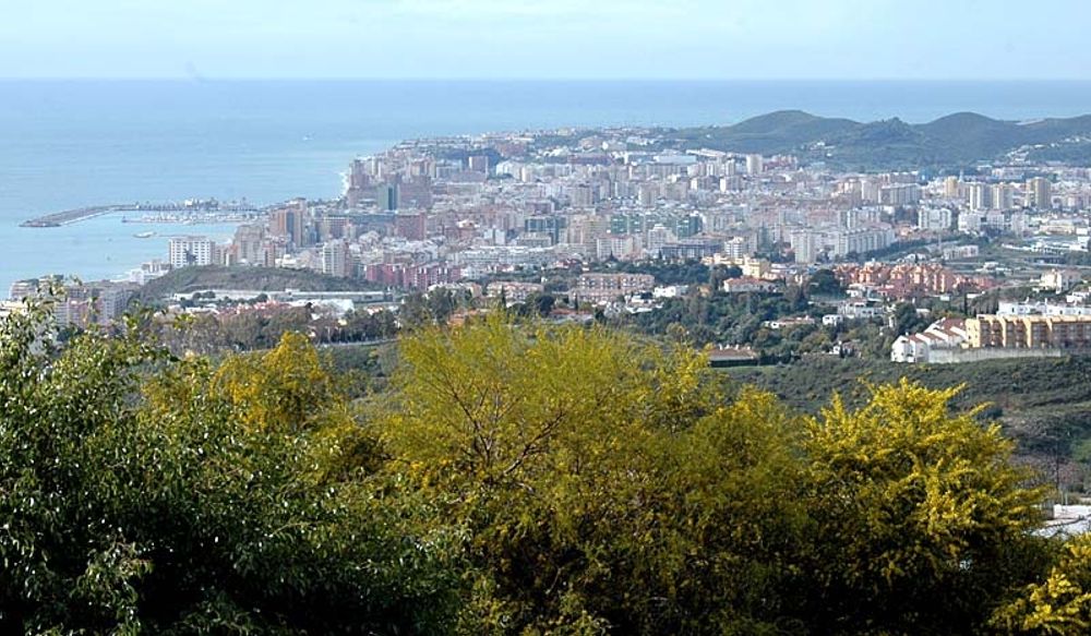 Den d&ouml;mde mannen var ordf&ouml;rande i en &auml;garf&ouml;rening i Fuengirola.