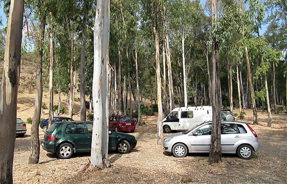 &Aring;T SKOGEN  Bilf&ouml;rs&auml;ljningen var 2011 den l&auml;gsta sedan 1993.
