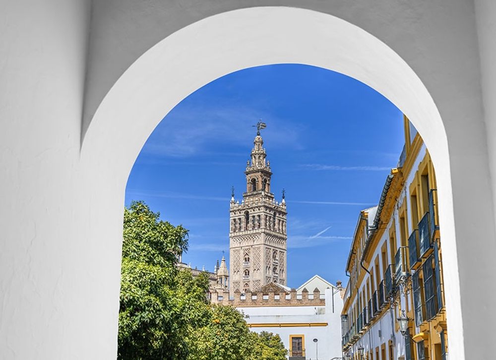 Den nya f&ouml;rordningen fokuserar p&aring; de kvarter i Sevilla d&auml;r antalet turistl&auml;genheter &auml;r som st&ouml;rst, men utesluter andra omr&aring;den fr&aring;n restriktioner.