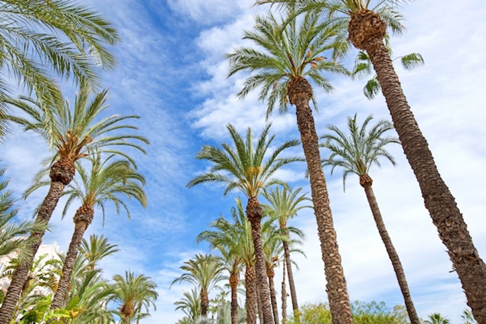 Endast 2015 har det registrerats h&ouml;gre temperatur i maj i Alicante stad, &auml;n p&aring; s&ouml;ndagen 16 maj.
