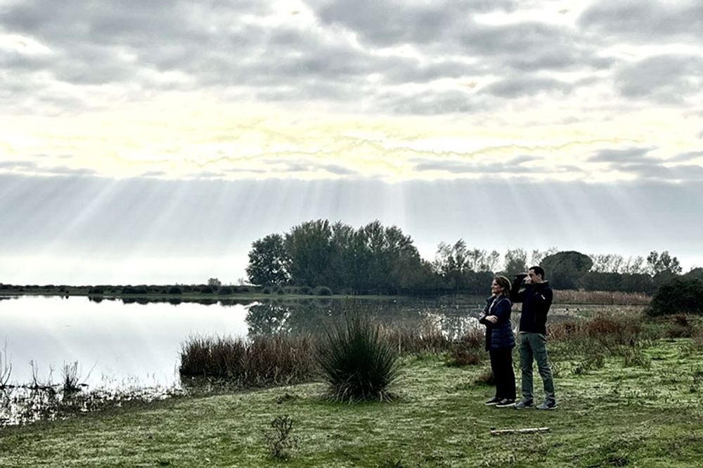 Avtalet sl&ouml;ts genom ett gemensamt bes&ouml;k i Coto de Do&ntilde;ana av den andalusiske regionpresidenten Juanma Moreno och energi- och milj&ouml;ministern Teresa RiberaFoto: @JuanMa_Moreno/X