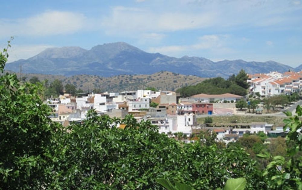 Br&aring;ket intr&auml;ffade i kvarteret La Fuensanta i Co&iacute;n. Foto: Tyk/Wikimedia Commons
