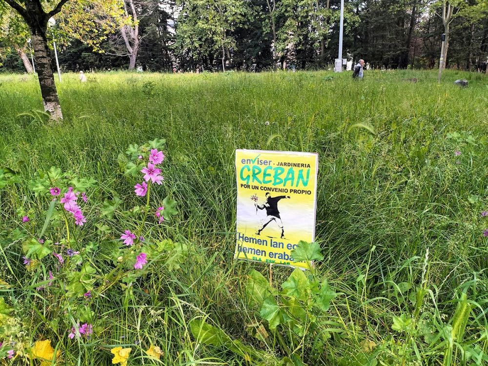 En l&aring;ngvarig tr&auml;dg&aring;rdsstrejk i Vitoria har lett till en s&auml;llan sk&aring;dad blomstring.