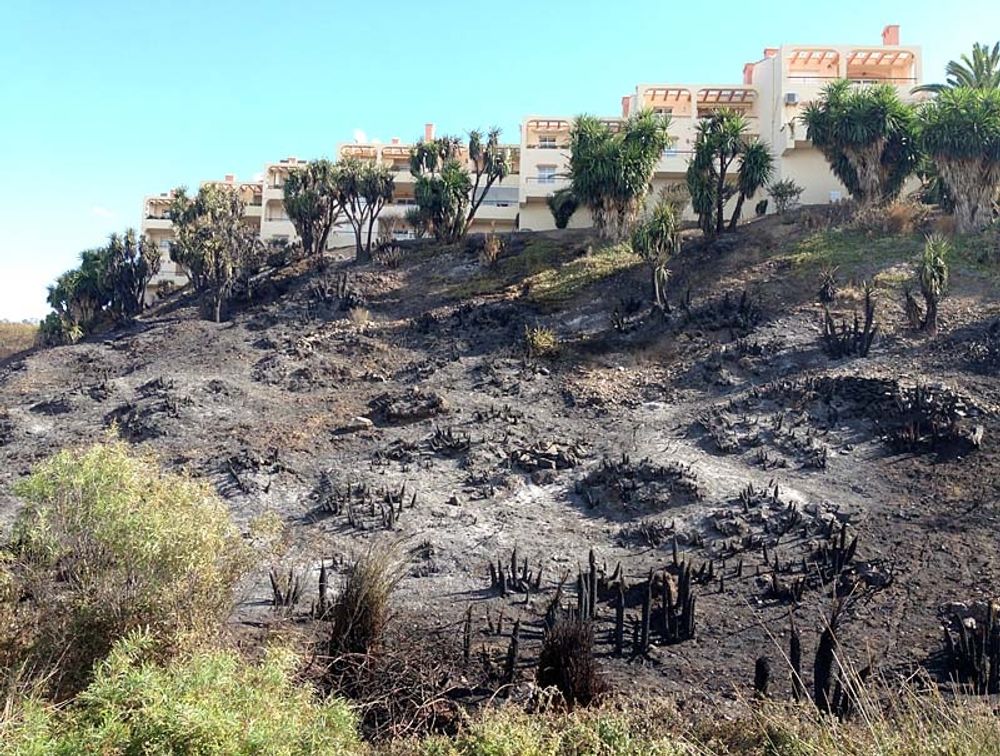 Mijas &auml;r den kommun som drabbats v&auml;rst hittills i &aring;r av sv&aring;ra naturbr&auml;nder.