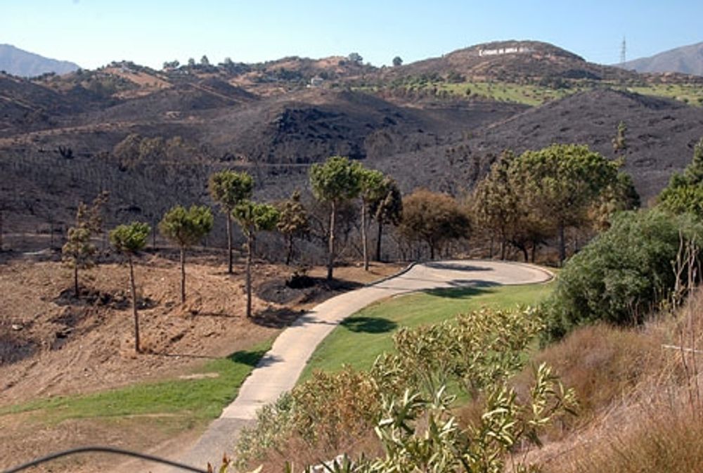 Mijas-Costa har lidit skogsbr&auml;nder flera somrar i rad. Fotot &auml;r fr&aring;n 2014.