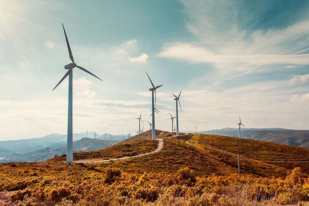 Billig vind- och solkraft t&auml;cker p&aring; l&ouml;rdagen 60 procent av energibehovet i Spanien.