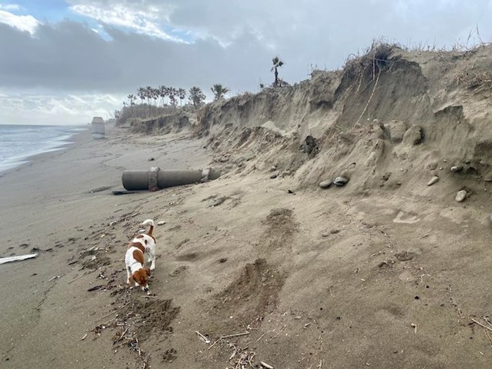 Stora m&auml;ngder sand har &aring;ter spolats bort av havet b&aring;de i Marbella och angr&auml;nsande Estepona.