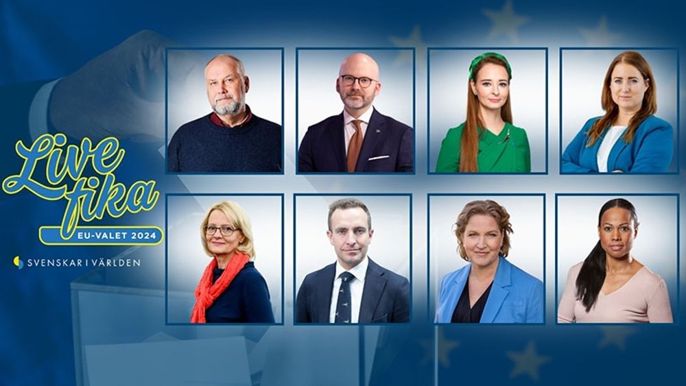 Intervjuerna med de svenska huvudkandidaterna i EU-valet kan f&ouml;ljas live eller ses i efterhand.