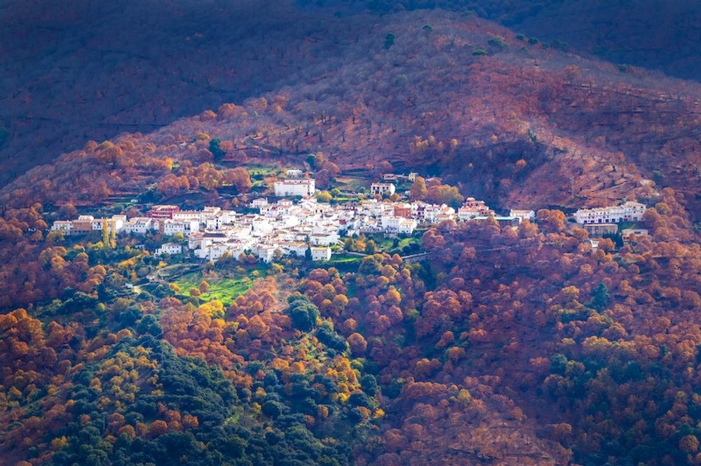 Parauta ligger i Serran&iacute;a de Ronda, i M&aacute;lagaprovinsen.