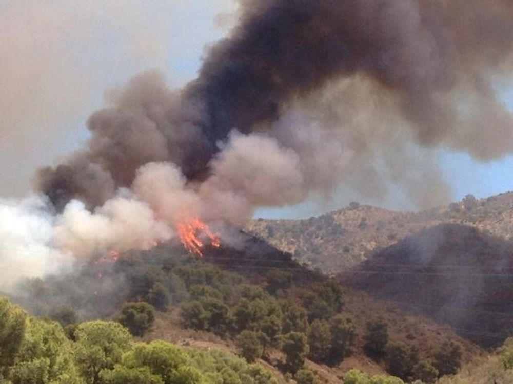 Branden startade vid 13.15- tiden i Montes de M&aacute;laga. Foto: Local Fire and Weather Watch/Facebook