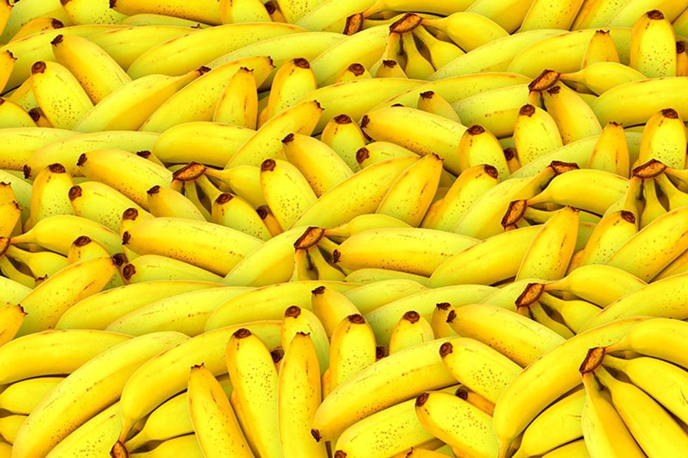 Veckans blogg g&aring;r helt bananas!