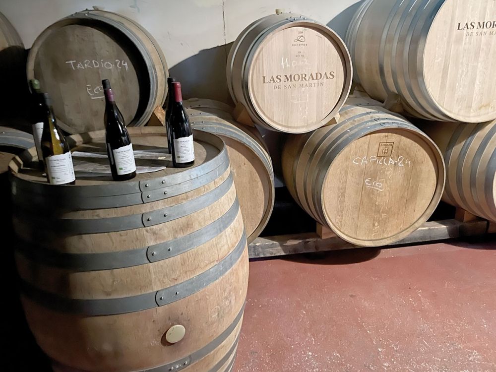 Vinos de Madrid blev ett erk&auml;nt definierat omr&aring;de f&ouml;r vinodling (DO) f&ouml;rst 1990.