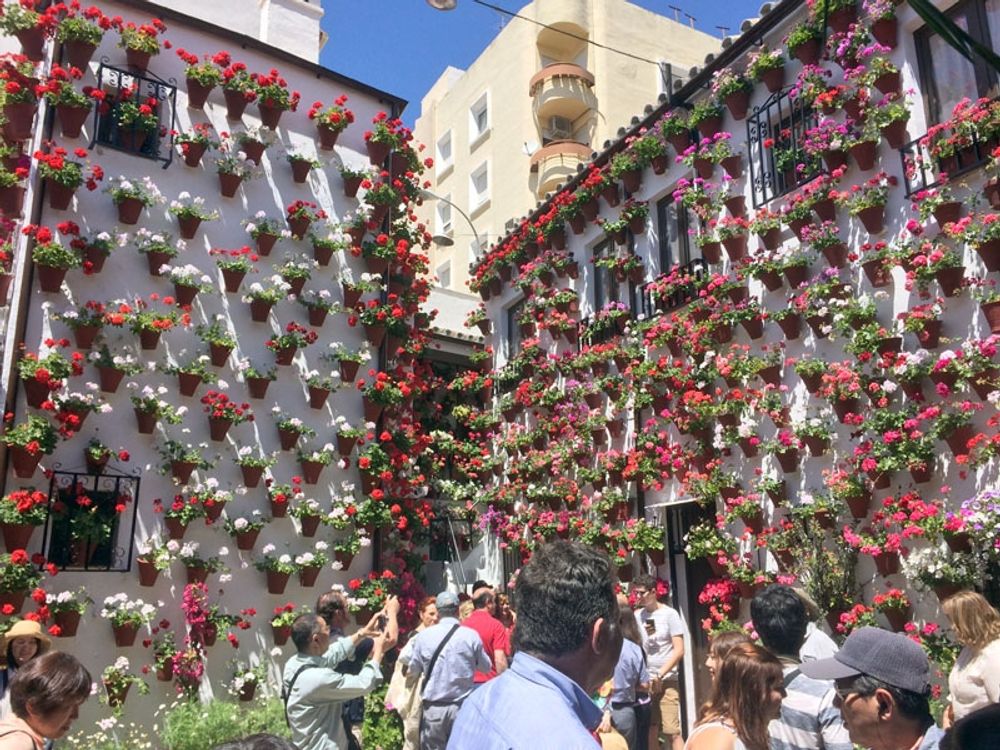 F&ouml;rra &aring;ret fick Festival de los Patios i C&oacute;rdoba st&auml;llas in, p&aring; grund av pandemin. Nu har dock inneg&aring;rdarna slagits upp igen, i samband med att festivalen firar 100 &aring;r.