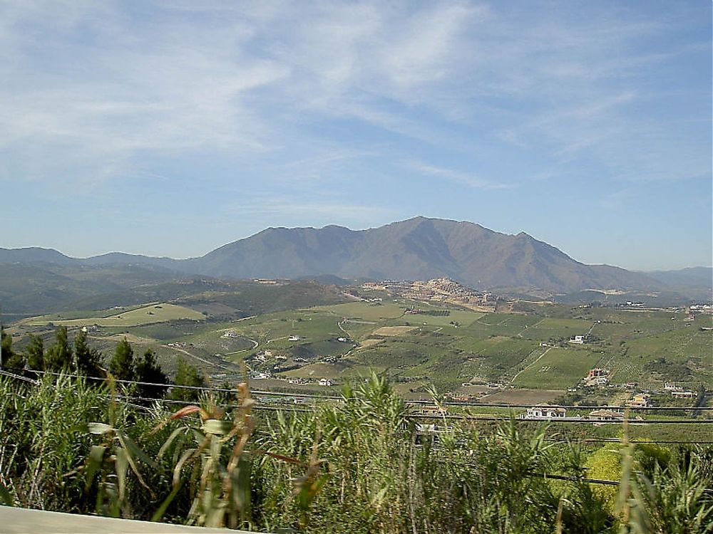 Branden sk&ouml;rdade bland annat naturmark vid Sierra Bermeja, i Estepona kommun,