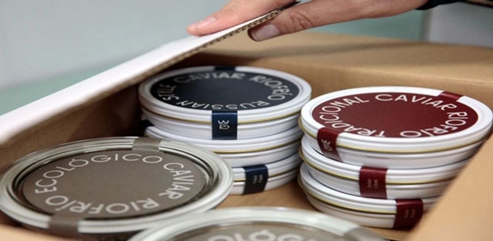 Den f&ouml;rsta produktionen av ekologisk belugakaviar fr&aring;n Granadaprovinsen s&aring;ldes inf&ouml;r julen 2020 f&ouml;r 8.000 euro kilot. Foto: Caviar de Riofr&iacute;o