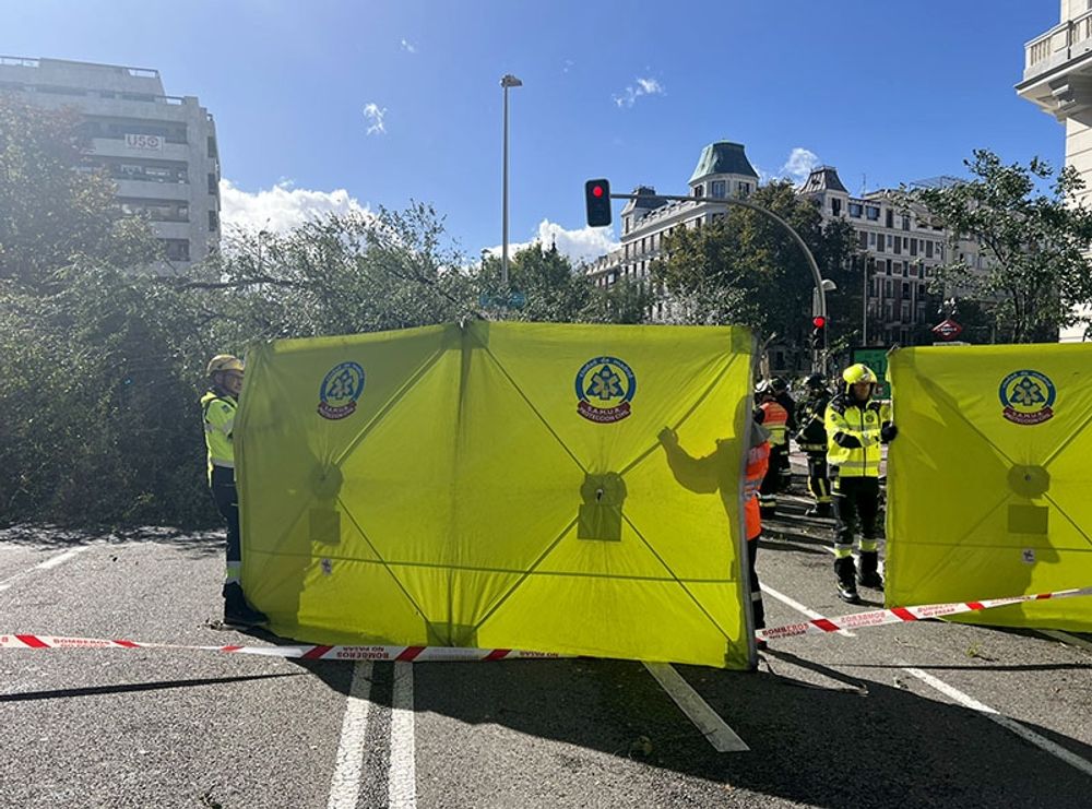 I Madrid vr&auml;kte bl&aring;sten omkull ett stort tr&auml;d i kvarteret Chamber&iacute; och en ung kvinna omkom. Foto: @EmergenciasMad