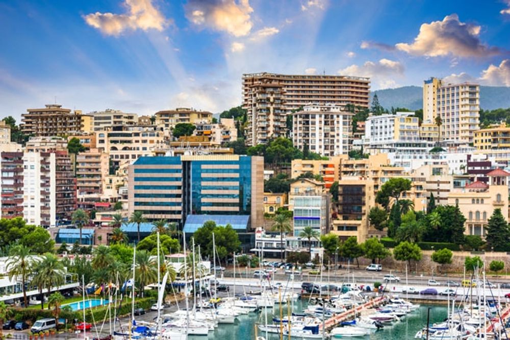 Optimismen &ouml;kar inom den lokala turistbranschen och m&aring;nga hotellanl&auml;ggningar p&aring; Mallorca uppges planera att tidigarel&auml;gga sin s&auml;songsstart.