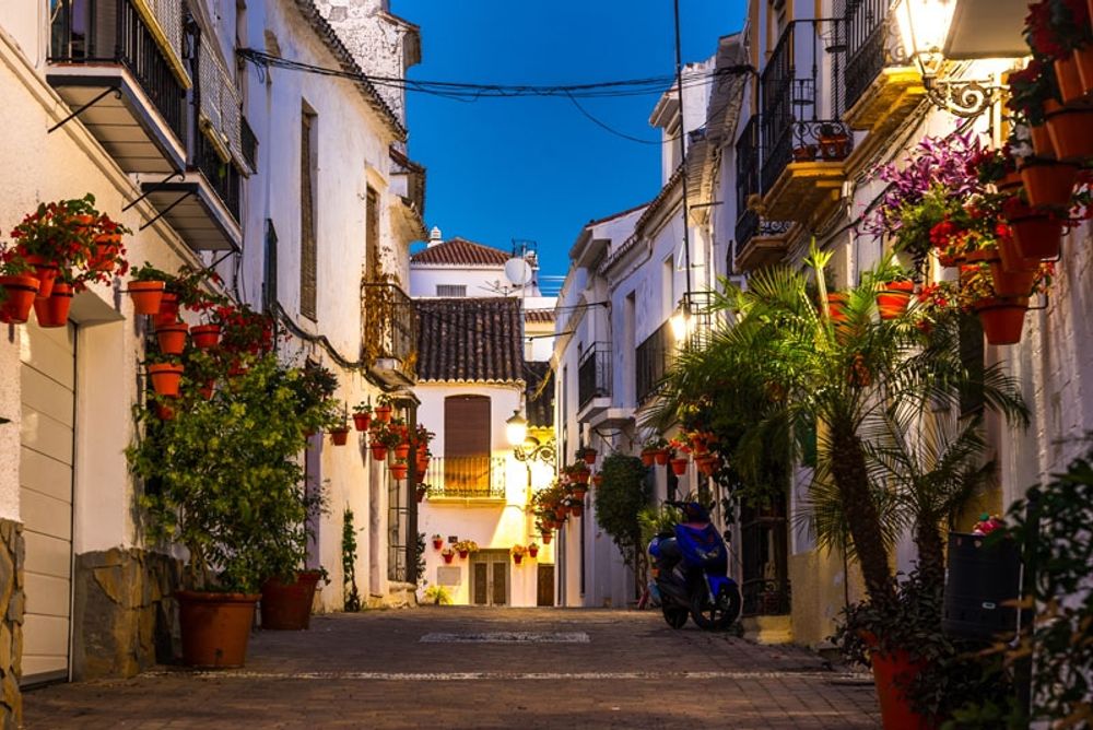 Regionalstyret har granskat situationen lokalt i varje ber&ouml;rd kommun, bland dem Estepona.