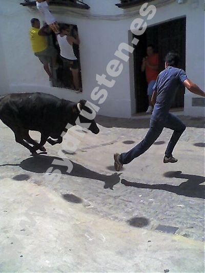 I sommar har flera personer d&ouml;dats i Spanien i samband med festligheter med b&aring;de kalvar och tjurar.